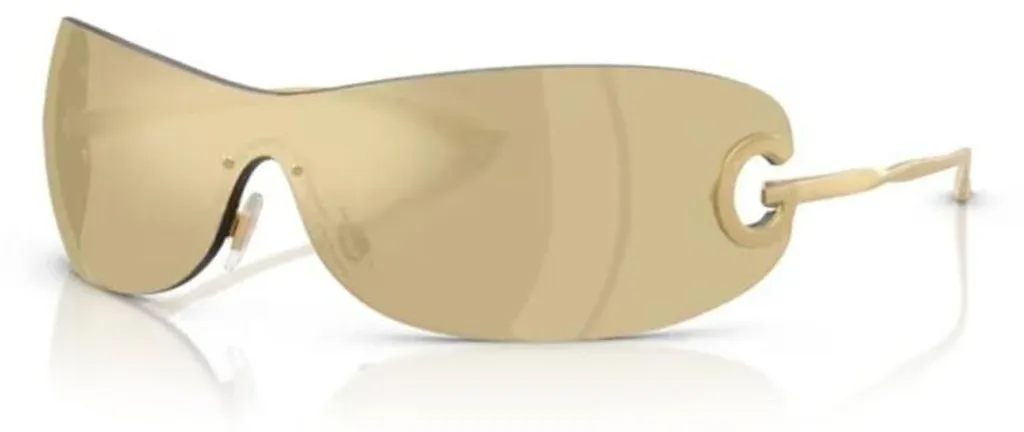Lunettes de soleil Dolce & Gabbana DG 2308 : Idéales pour la Conduite