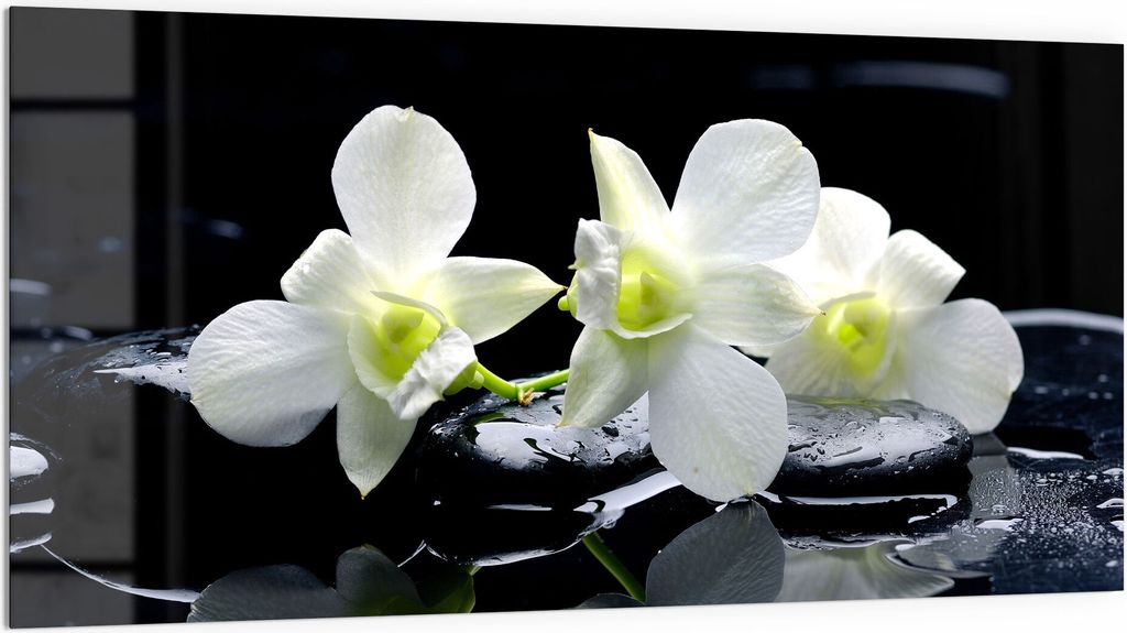 DEQORI Küchenrückwand Glas 100x50 cm 'Orchidee mit Produktbild 