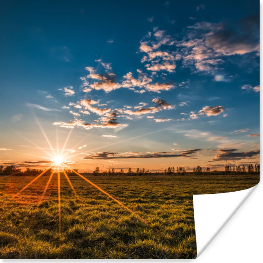 MuchoWow Poster Sonnenuntergang - Natur - Wolken - Gras 75x75 cm - Wand Dekoration