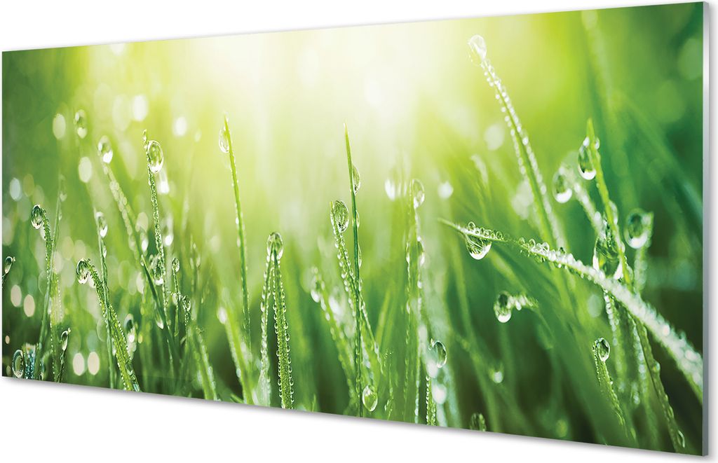 Glasbilder 120x60 Wandkunst Grass Sonne Tropfen