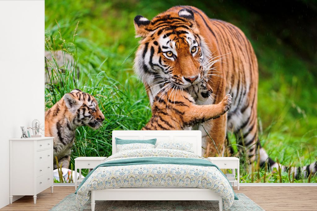 MuchoWow Fototapete für Wohnzimmer oder Schlafzimmer Wandtapete Vinyl Motivtapete Tiger - Asien - Gras - 525x350 cm - Das Hintergrundbild