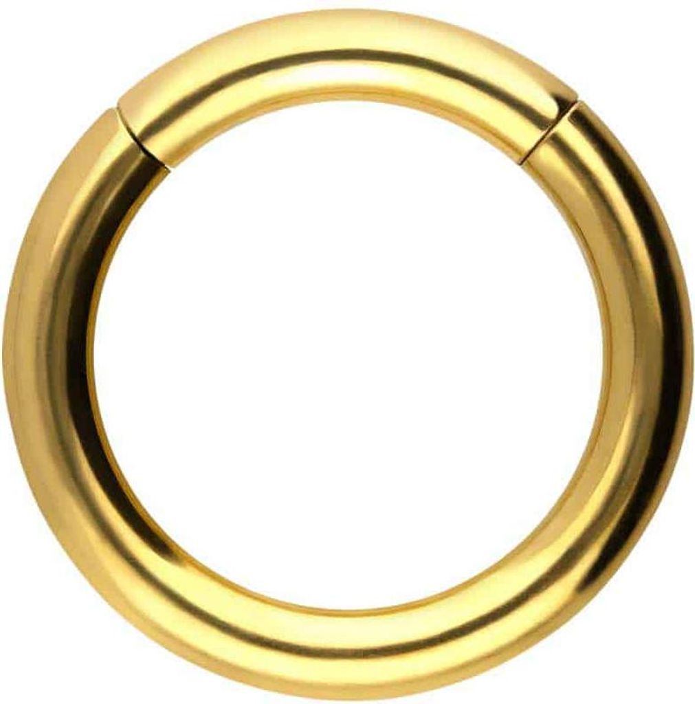 Ohrpiercing, Nasenpiercing, Septum Piercing Titan Segmentring Clicker Gold Innendurchmesser: 16mm + Stabstärke: 3mm