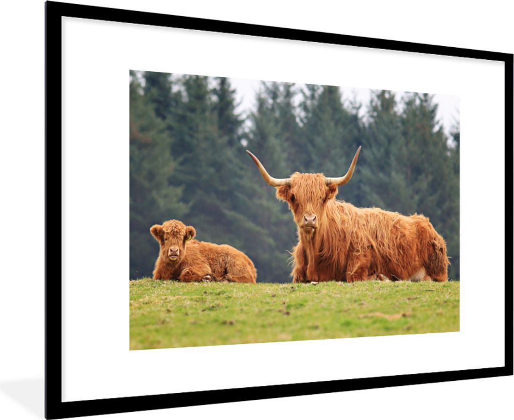 MuchoWow Gerahmtes Poster Schottischer Hochländer - Sonne - Gras 90x60 cm - Poster mit Schwarzem Bilderrahmen Wandposter Rahmen Foto Bilder - Wa...