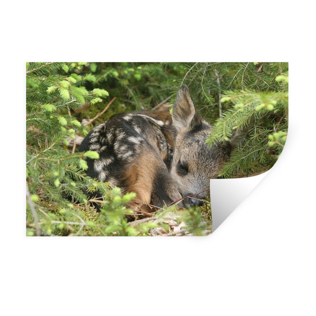MuchoWow Wandtattoo Wandsticker Wandaufkleber Schlafendes Rehwild 120x80 cm Selbstklebend und Repositionierbar - Selbstklebend - Fototapeten