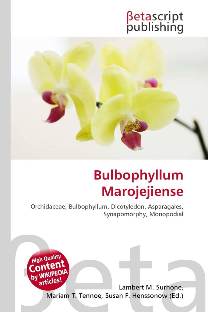 Bulbophyllum Marojejiense