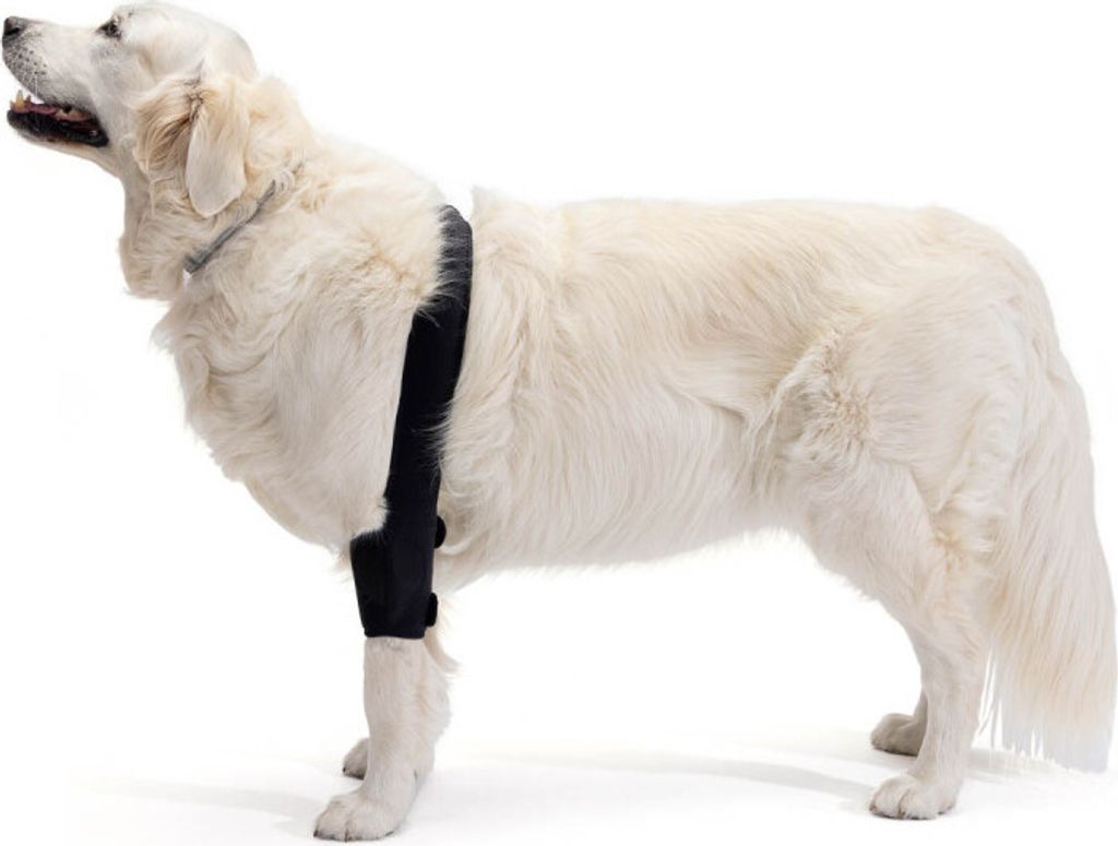 Ellenbogenbandage für Hunde Ortocanis Ellenbogen 16,1 - 20,5 cm (M) Bein Links