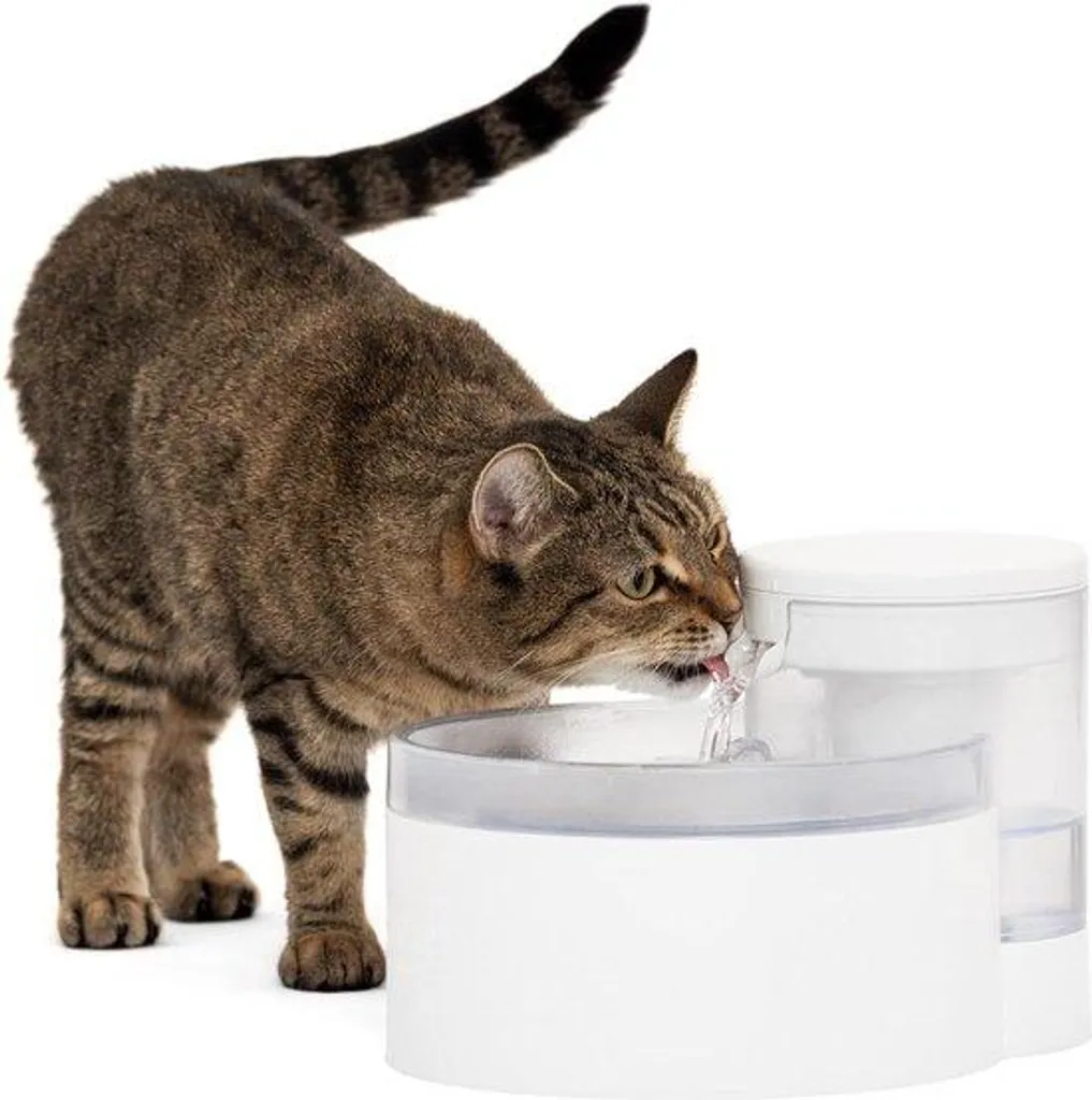 Filtre à eau 17L anti-calcaire : chiens, chats et lave-linge sans impuretés