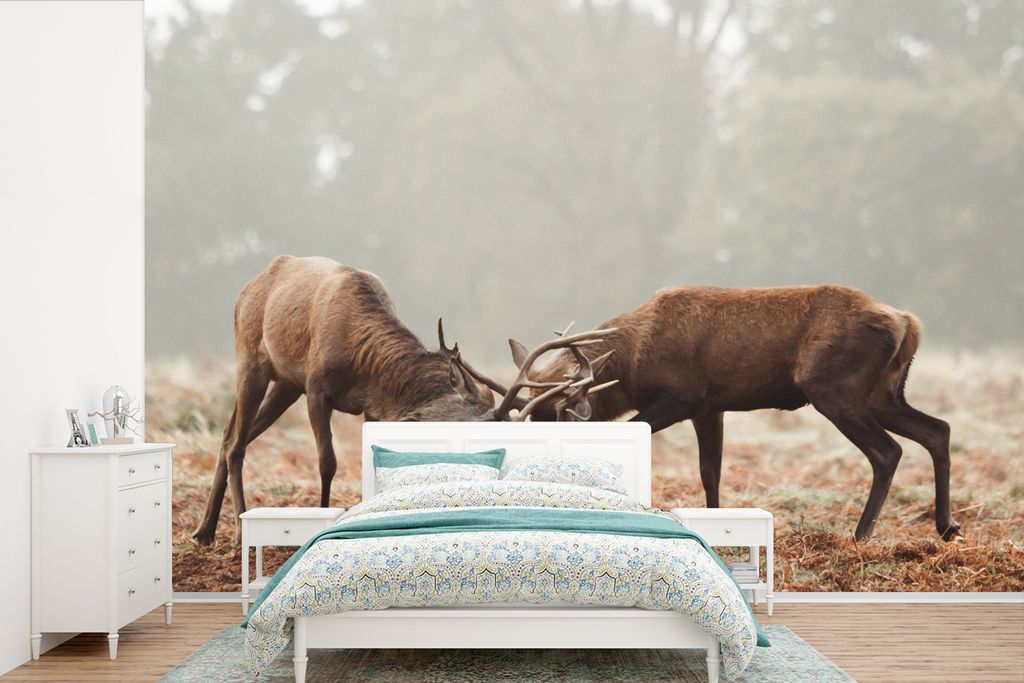 MuchoWow Fototapete für Wohnzimmer oder Schlafzimmer Wandtapete Vinyl Motivtapete Hirsche - Wald - Gras - 420x280 cm - Zimmer für Kinder