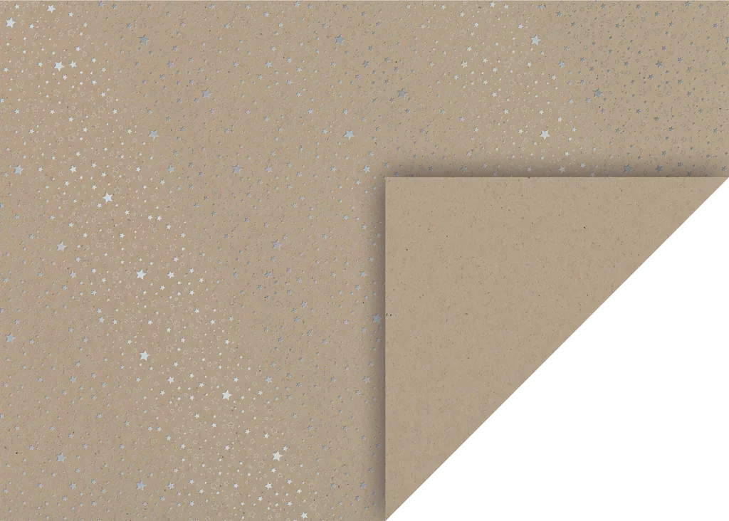 Support de Décoration de Noël en Carton Étoilé Argent 50x70cm Heyda 20477