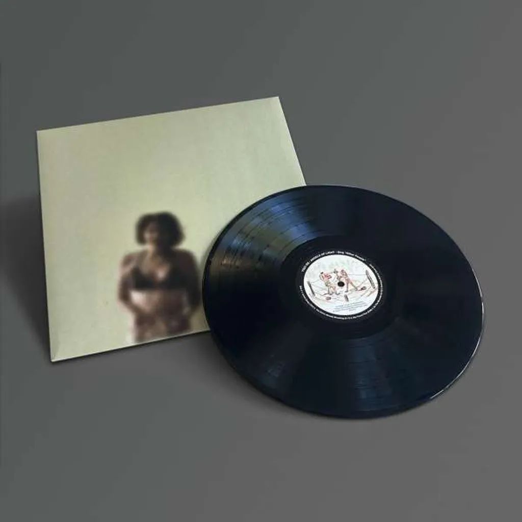 Disque Vinyle Angels Of Light Sing Other People Pop pour Platine Hi-Fi