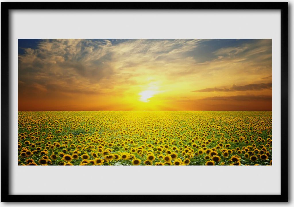 Bild 70x50 MDF-Rahmen Wandkunst Sun Wiese Sonnenblumen