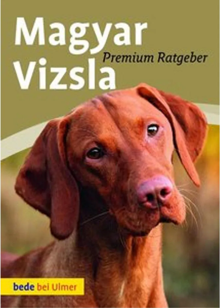 Portrait Magyar Vizsla mural, cadre noir moderne pour salon de chasseur