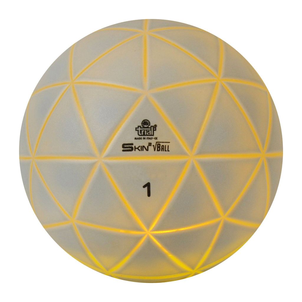 Trial Gewichtsball "Skin Ball", 1 kg, 20 cm