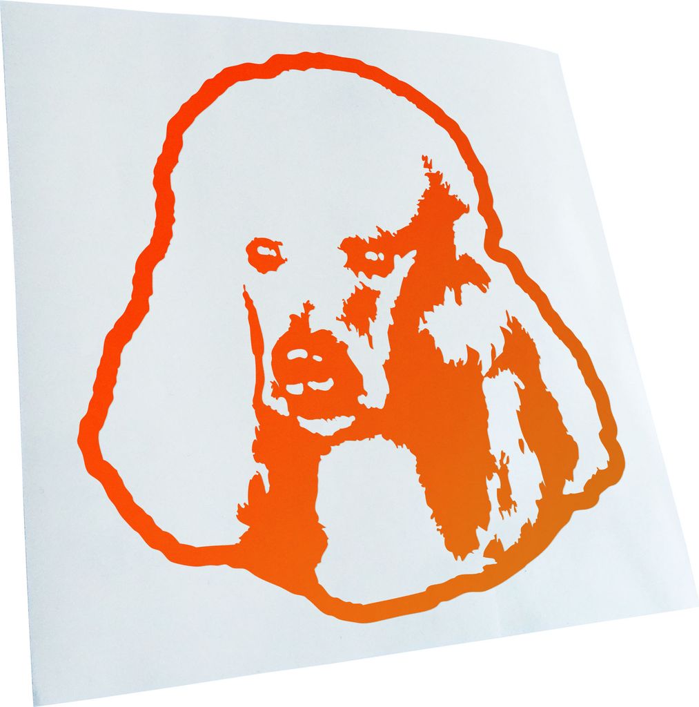 Kiwistar - Autoaufkleber - Poodle Hund - Neonorange - 40x36cm - Aufkleber für Auto, Laptop, Fahrrad, LKW, Motorrad Mehrfarbig JDM Decal Racing