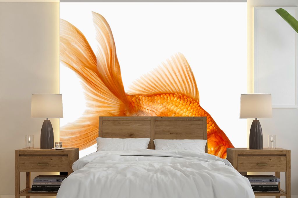 MuchoWow Fototapete für Wohnzimmer oder Schlafzimmer Wandtapete Vinyl Motivtapete Goldfisch - Weiß - 350x350 cm - Schlafzimmertapete