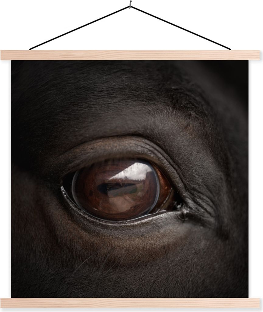MuchoWow Textilposter Nahaufnahme eines Pferdeauges 40x40 cm mit holzfarbenen Rahmen - Posterleiste