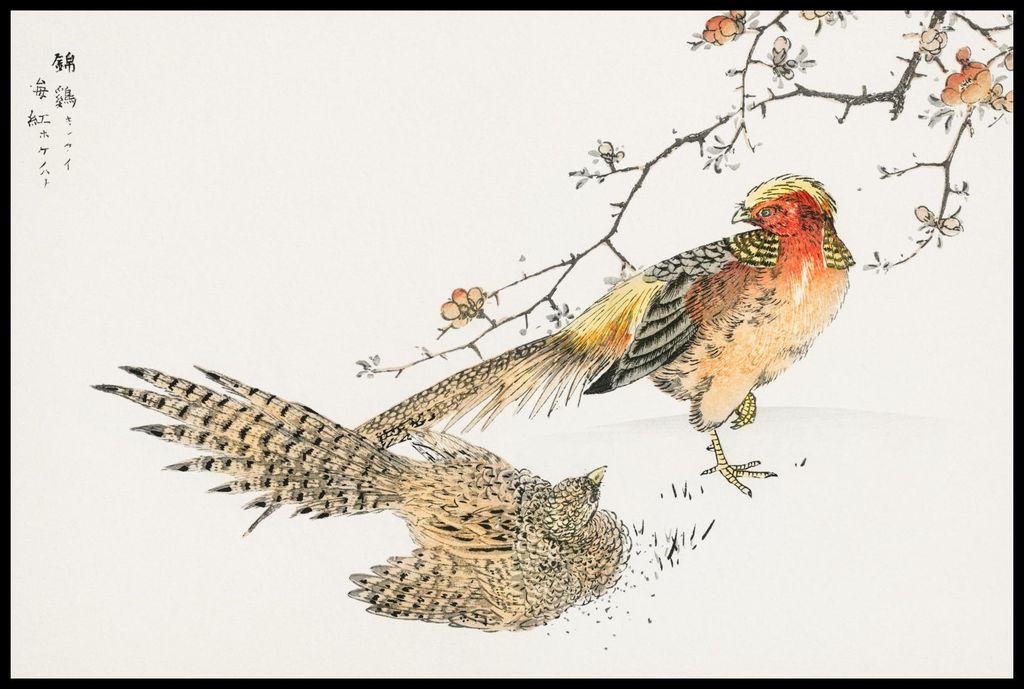 Plakat 91,5x61cm Goldfasan, Japanischer Kashu Vintage für das Wohnzimmer