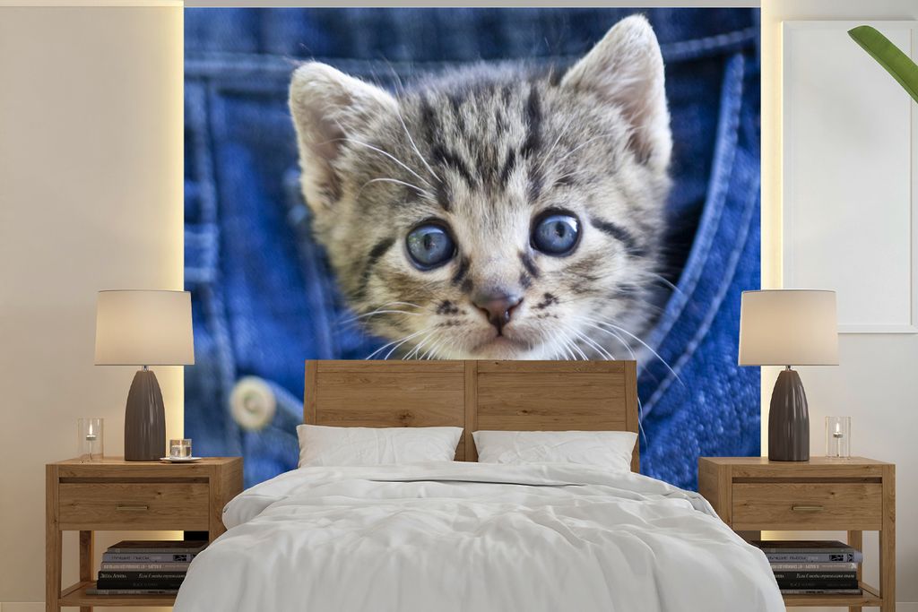 MuchoWow Fototapete für Wohnzimmer oder Schlafzimmer Wandtapete Vinyl Motivtapete Ein Kätzchen in Denim-Jeans - 240x240 cm - Schlafzimmer-Tapete