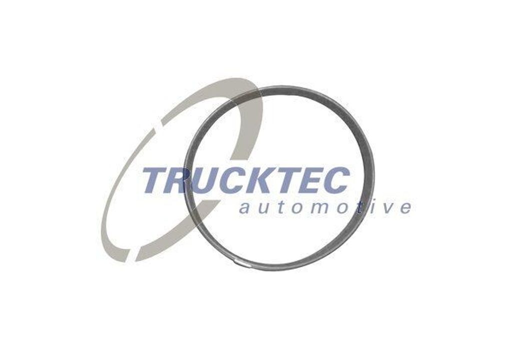 TRUCKTEC AUTOMOTIVE 08.13.001 Dichtung Ansaugbrücke für BMW 3 Limousine (E46) 5 Limousine (E60) 5 Touring (E61) 5 Limousine (E39) 3 Touring (E46) X3