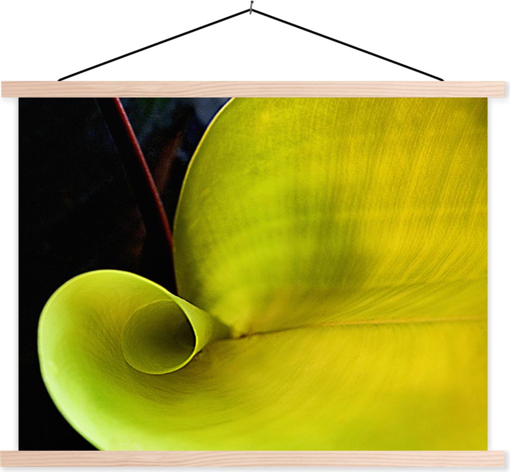 MuchoWow Textilposter Schöne Natur Muster eines botanischen Blattes 120x90 cm mit holzfarbenen Rahmen - Magnetisch