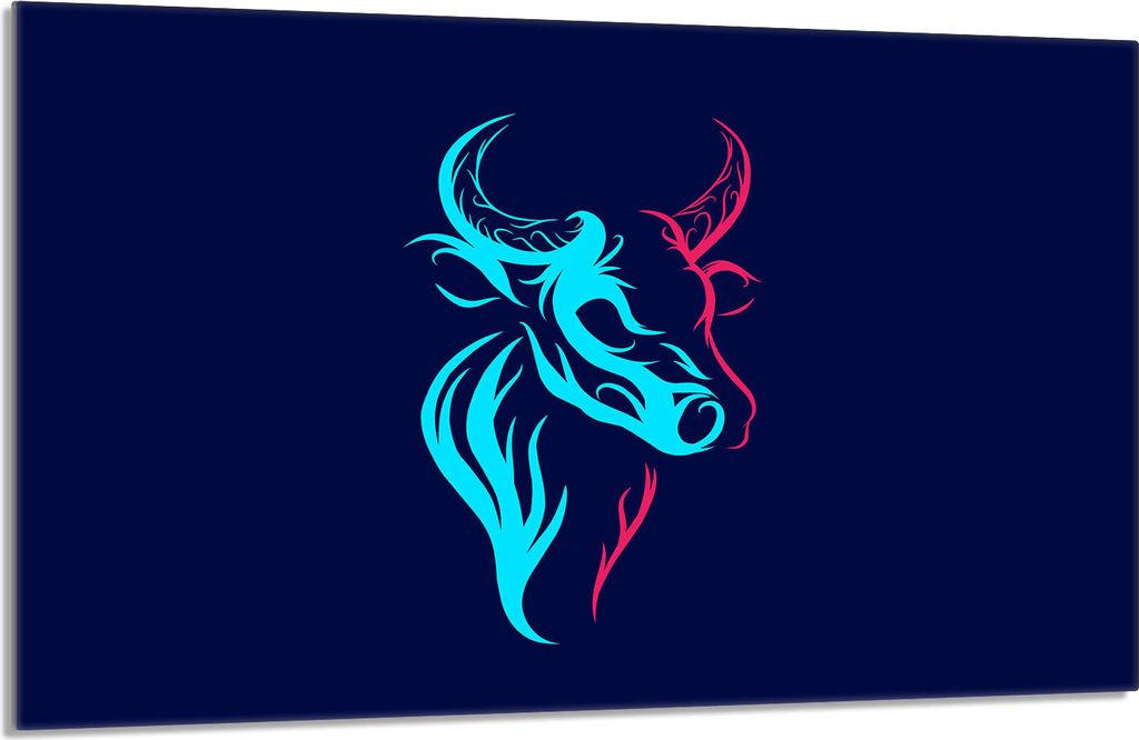 Glasschutzplatte für den Herd 80x52 Byk Produktbild 