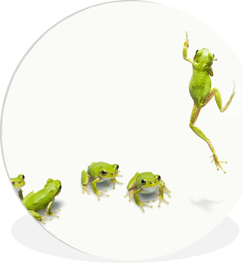 MuchoWow Rundes Wandbild - Runde Bilder Frosch - Tiere - Grün Ø 90 cm Kreis Wanddekoration Kunststoff - Wandkreis - Wandschmuck - Wand-Kreis - ...