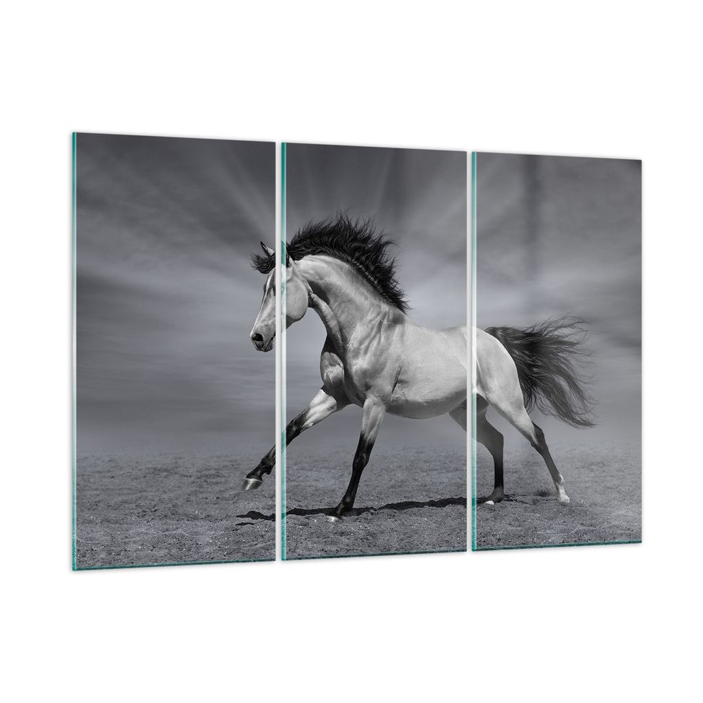Bilder auf glas - Pferd Tier Natur - 165x110cm - Glasbilder - Wandbilder - Kunstdruck - zum Aufhängen bereit - Wanddekoration aus Glas - Glas Bild...