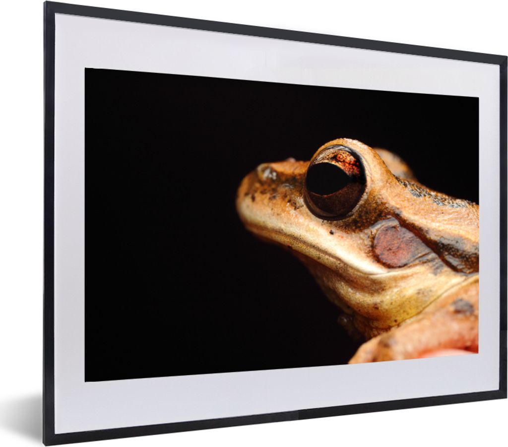MuchoWow MuchoWow Gerahmtes Poster Frosch - Auge - Schwarz 60x40 cm - Poster mit zchwarzem Bilderrahmen - Schlafzimmer - Plakat in Rahmen - Dru...