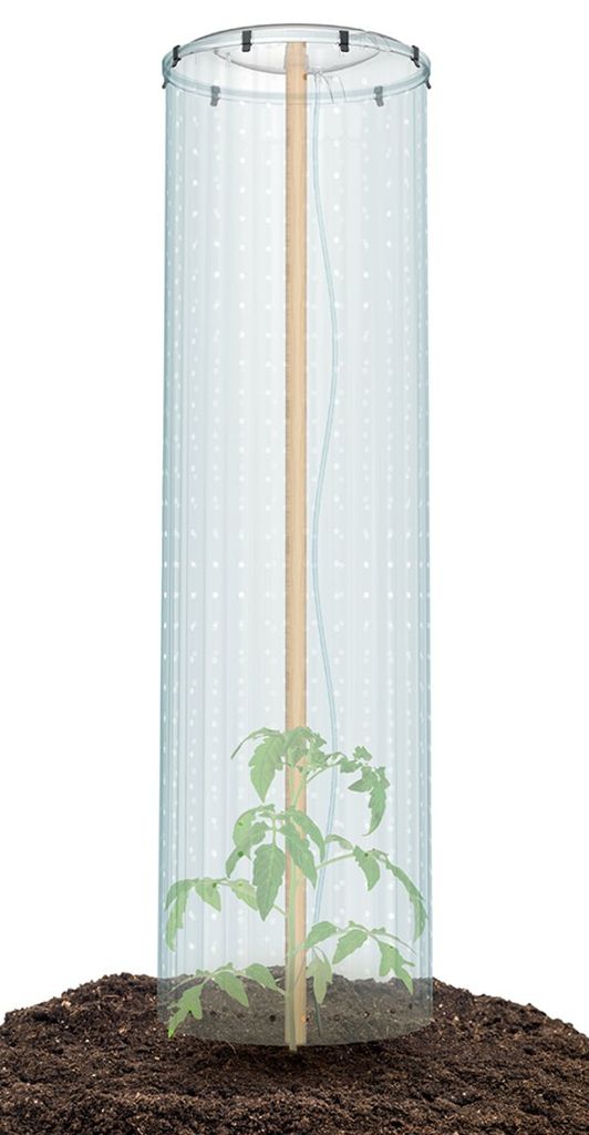 Prosperplast Prosperplast-Tomatenschutz-Set Produktbild 3