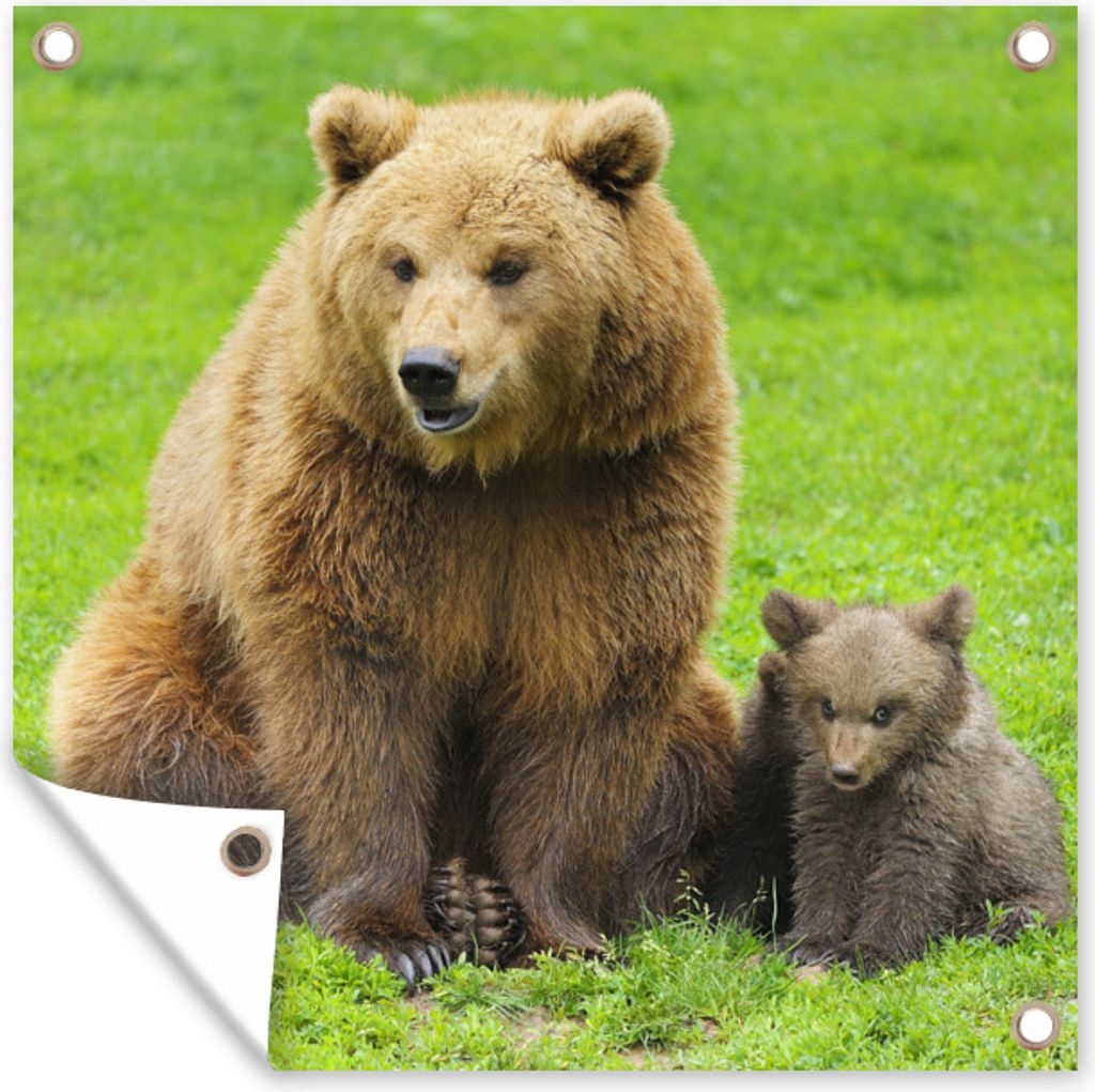 MuchoWow 50x50 cm Outdoor-Poster Gartendeko Sichtschutz Garten Poster für den Garten Bär - Gras - Junge