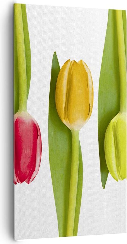 Bild auf Leinwand - Leinwandbild - Tulpe Blume Garten Komposition - 65x120cm - Wand Bild - Wanddeko - Leinwanddruck - Bilder - Kunstdruck - Wanddek...