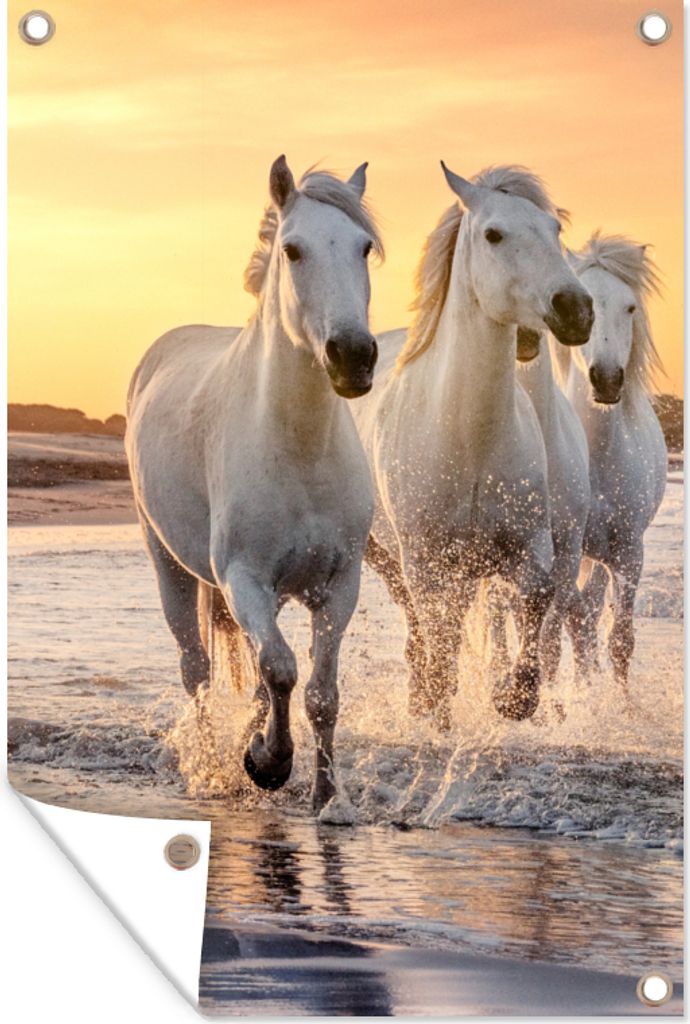 MuchoWow 60x90 cm Outdoor-Poster Gartendeko Sichtschutz Garten Poster für den Garten Pferde - Sonne - Meer - Strand - Tiere