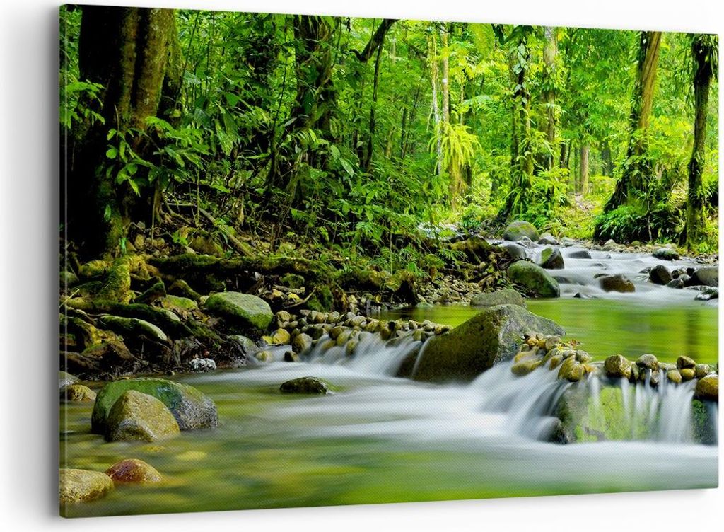 Bild auf Leinwand - Leinwandbild - Stream Wald Natur - 120x80cm - Wand Bild - Wanddeko - Wandbilder - Leinwanddruck - Bilder - Kunstdruck - Wanddek...