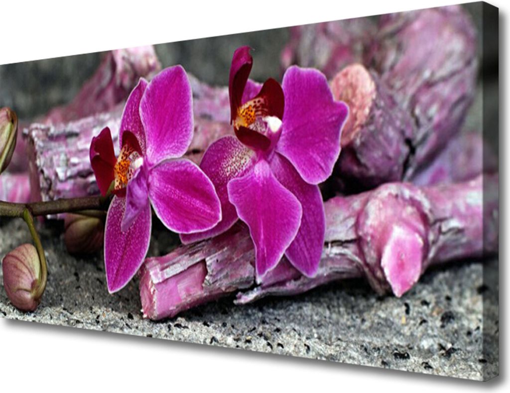 Tulup Leinwand-Bilder 100x50 Wandbild Canvas Kunstdruck Hölzer Blumen Pflanzen