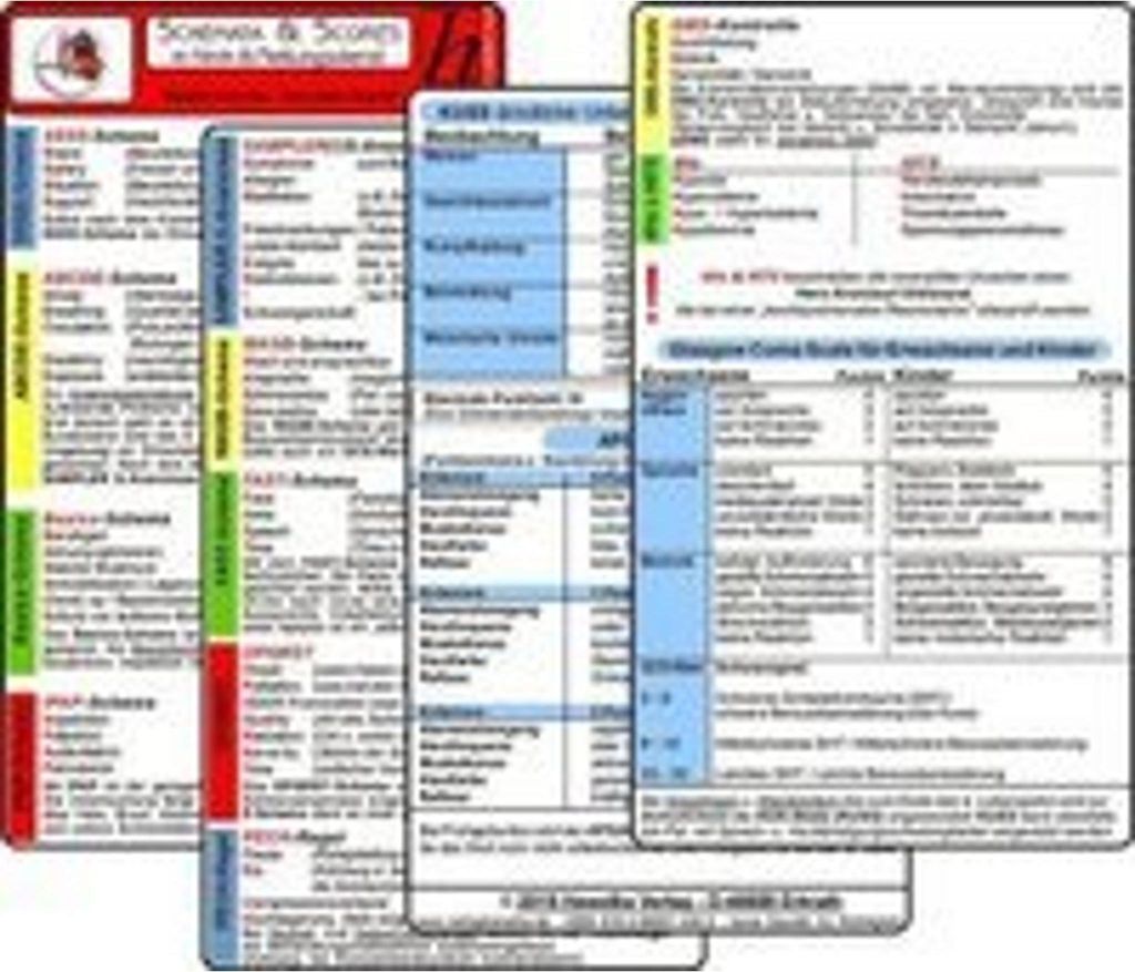 Schemata & Scores in Klinik & Rettungsdienst (2 Karten Set) - SSSS-Schema, ABCDE-Schema, Basics-Schema, IPAP-Schema, SAMPLER(!)S, WASB, FAST, OPQRS...