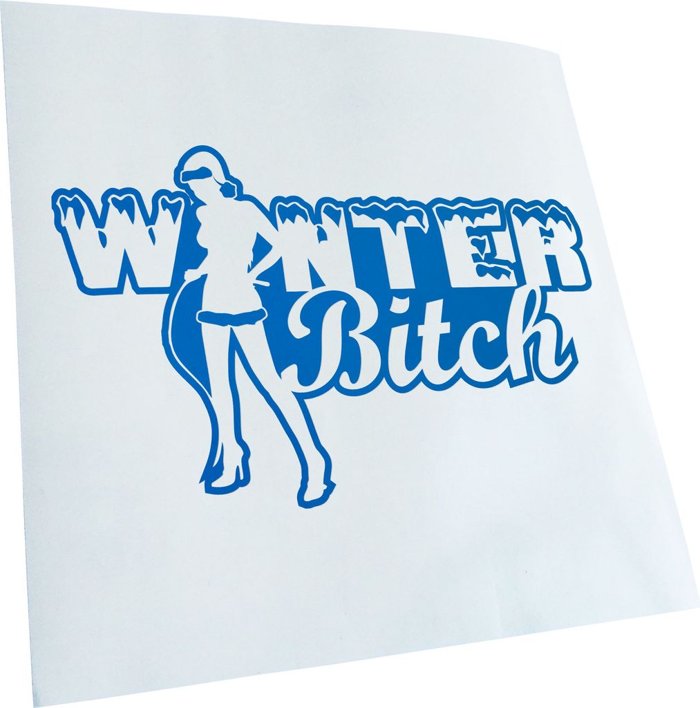 Kiwistar - Autoaufkleber - -Winter Bitch Design 1 Heckscheibenaufkleber - Aufkleber für Auto Kfz Fahrrad, LKW, Truck Mofa