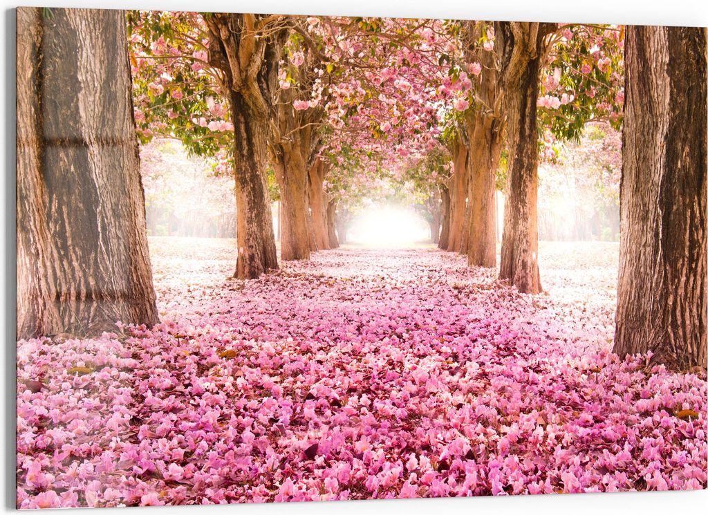 Pare-splash Cuisine En Verre DEQORI Motif Pusteblume (fleur De Pissenlit) - Verre Sécurité 4mm, Facile à Nettoyer