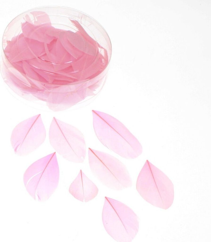 144 echte Gänsefedern ca. 5cm Federn Bastelfedern Schmuckfedern Streudeko, Farbe:rosa