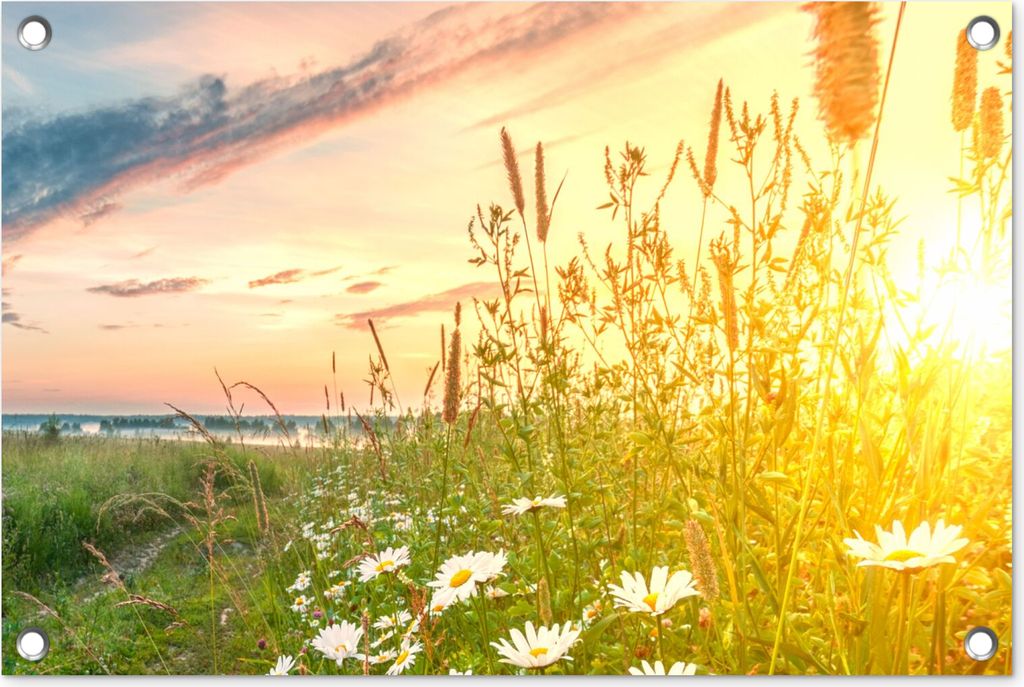 MuchoWow 60x40 cm Outdoor-Poster Gartendeko Sichtschutz Garten Poster für den Garten Blumen - Gänseblümchen - Natur - Sonne - Horizont