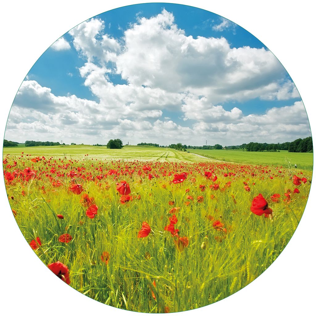 Wallario Premium Glasbild, freischwebende Optik, kräftige Farben, rund 50cm Durchmesser, Motiv Grüne Wiese mit Mohnblumen