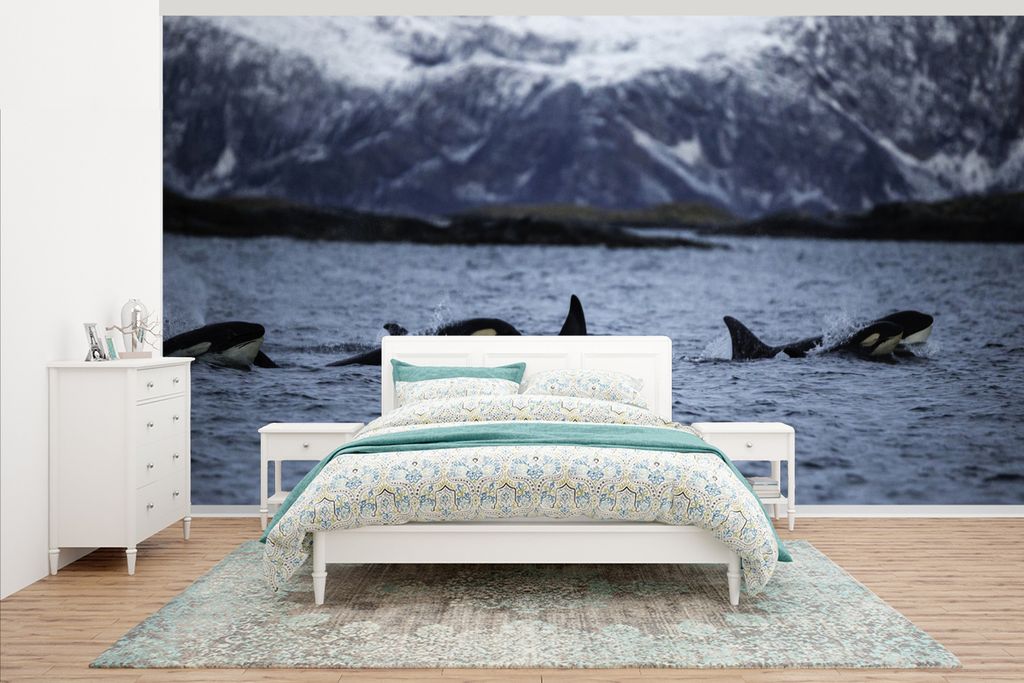 MuchoWow Fototapete für Wohnzimmer oder Schlafzimmer Wandtapete Vinyl Motivtapete Gruppe von Orcas - 395x220 cm - Tapezier Papier