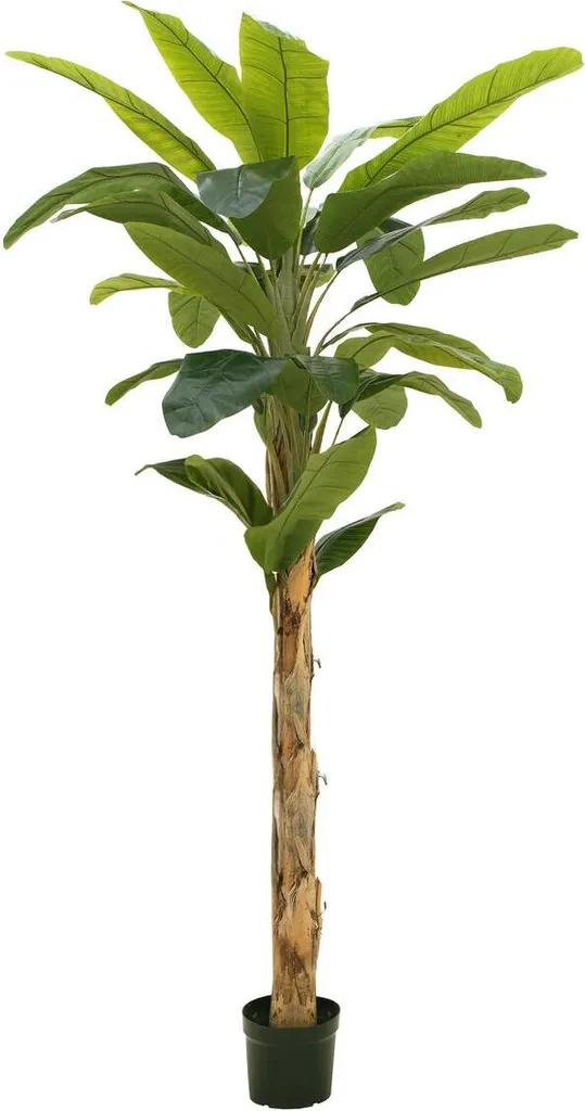 Plante Artificielle Bananier 210cm Europalms aux Feuilles Larges