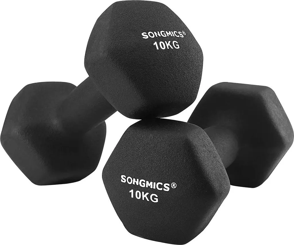 Ensemble d'haltères courts 2 x 10 kg pour musculation à domicile