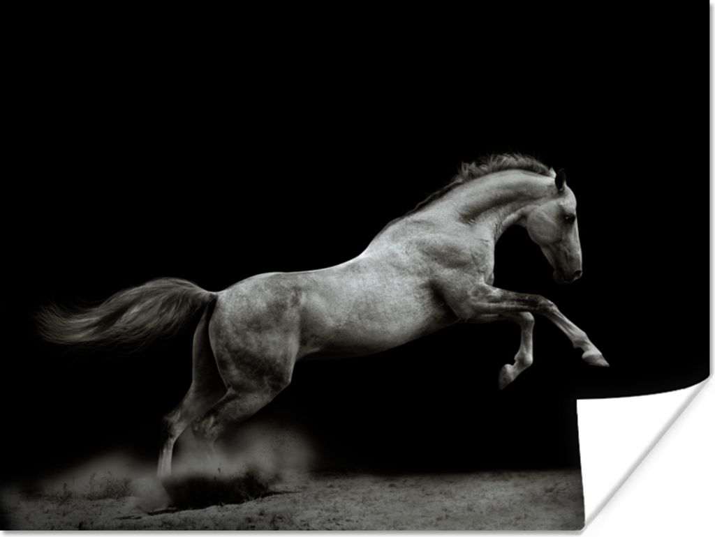 MuchoWow® Poster Pferd - Sand - Schwarz 80x60 cm - Kunst Produktbild 