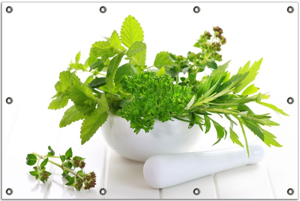 Wallario Outdoor-Poster für Garten oder Balkon, Motiv Welt der Kräuter - verschiedene Kräuter in einem weißen Mörser, in ca. 80 x 120 cm