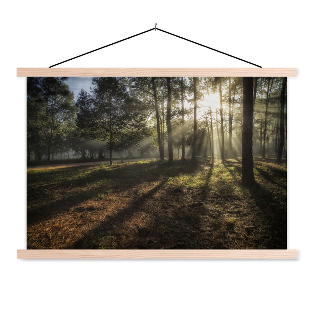 MuchoWow Textilposter Wald - Sonne - Nebel 60x40 cm mit holzfarbenen Rahmen - Bilder