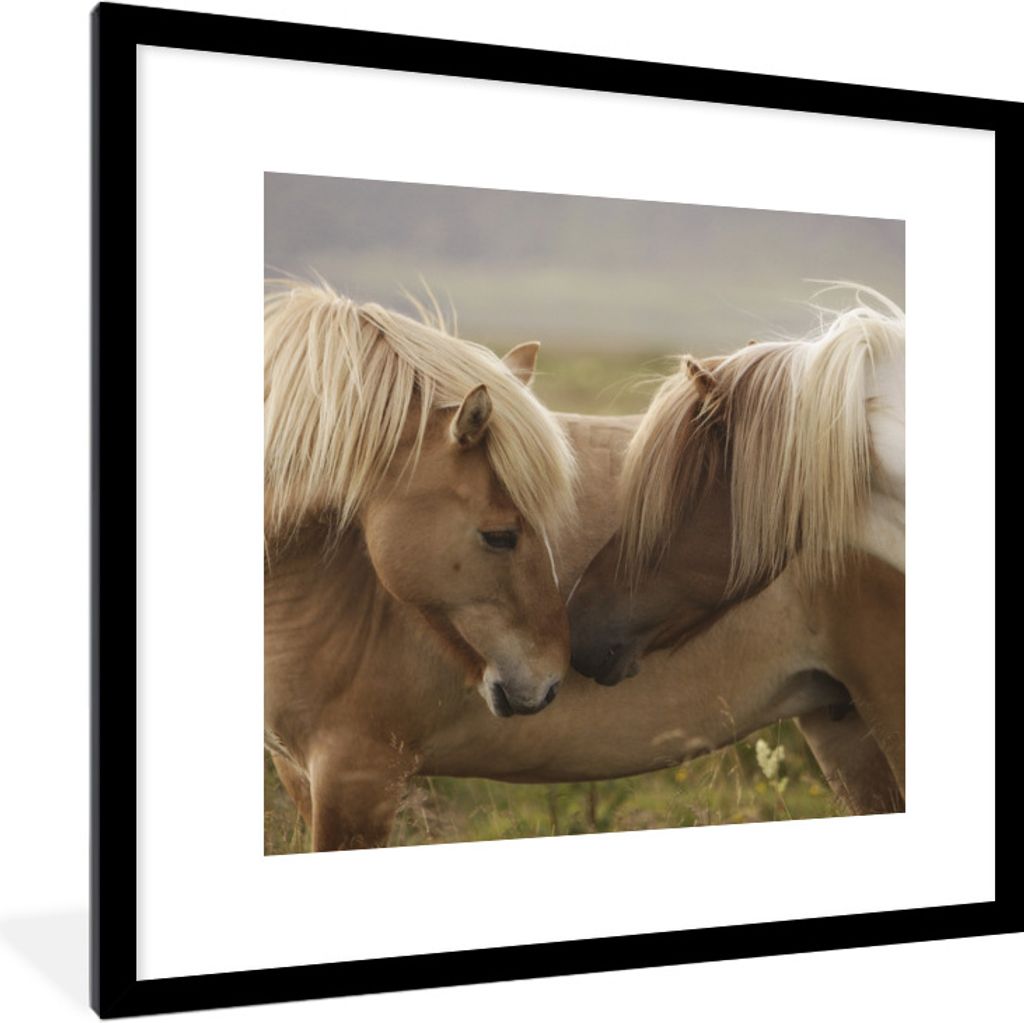 MuchoWow Gerahmtes Poster Pferde - Gras - Braun 40x40 cm - Poster mit Schwarzem Bilderrahmen Wandposter Rahmen Foto Bilder - Poster - Plakat im R...