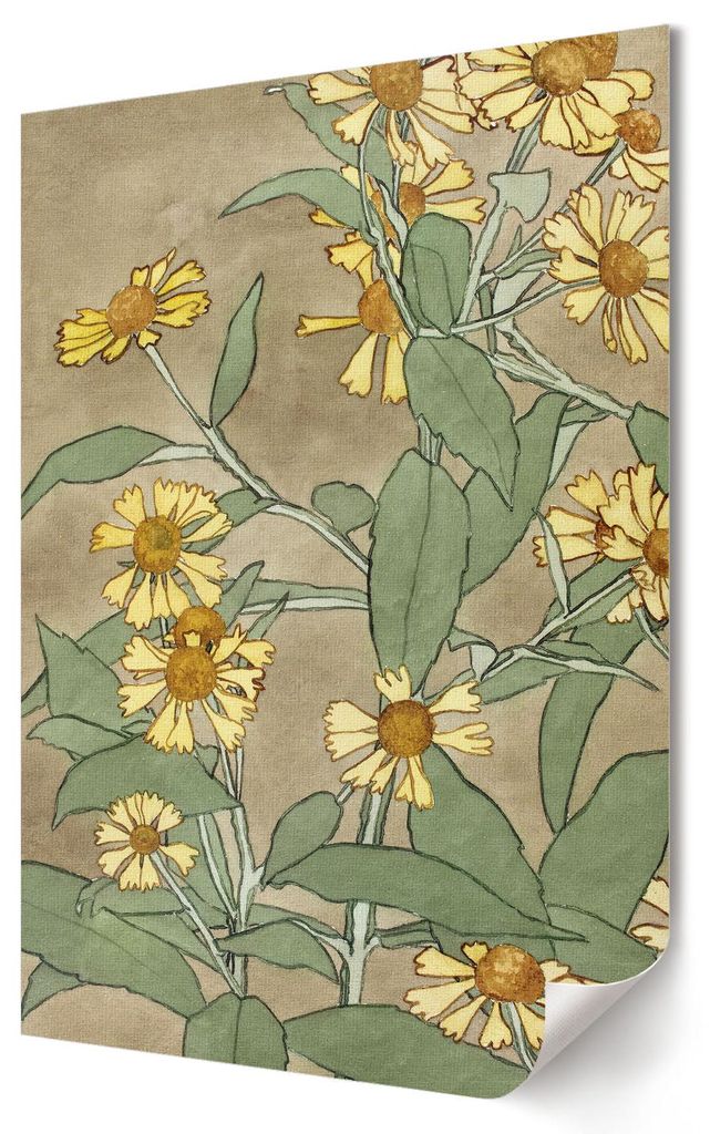 Gänseblümchen- Kunstdruck A3 (29x42 cm) - Romantisch, dekorativ, klassisch- Wandbild für Wohnzimmer Schlafzimmer & Flur, Modernes Poster Wanddek...