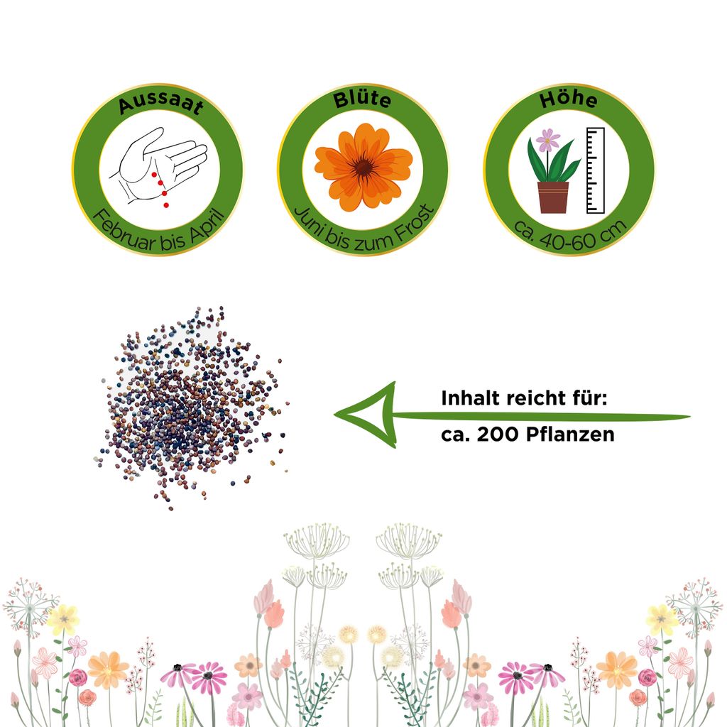 Petunien Einfache Mischung Samen - Petunia hybrida - Produktbild 2