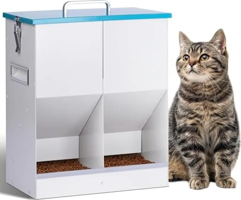 Recensione Breuaily Mangiatoia Automatica Gatti 10L Metallo